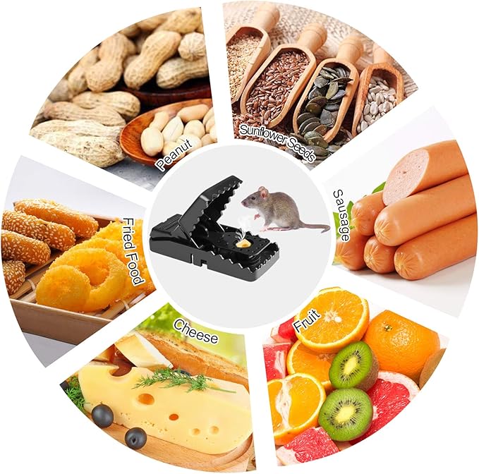 Mouse Trap – Safe & Effective Rodent Control Solution