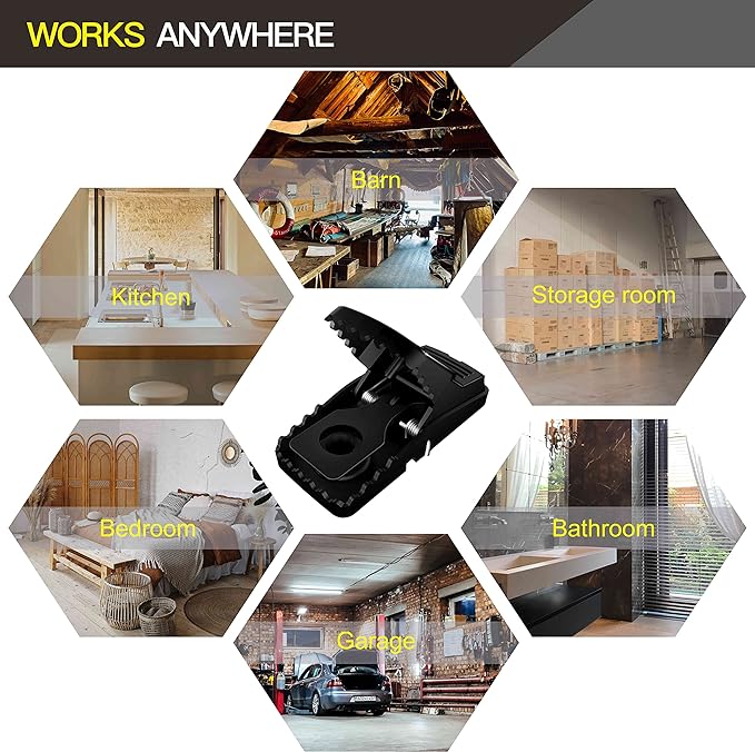 Mouse Trap – Safe & Effective Rodent Control Solution